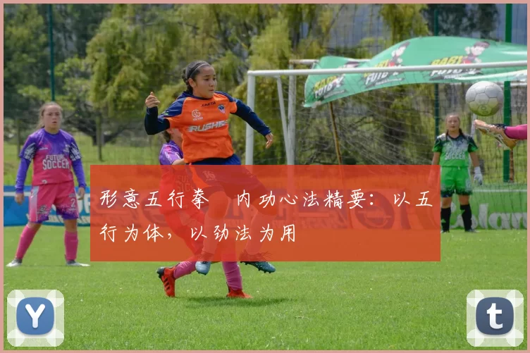 形意五行拳・内功心法精要:以五行为体,以劲法为用