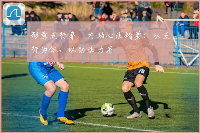 形意五行拳・内功心法精要：以五行为体，以劲法为用
