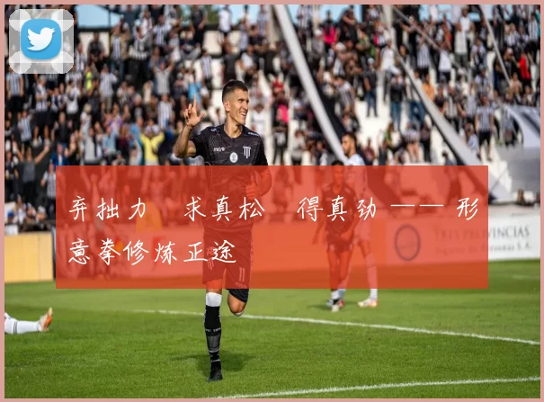 弃拙力・求真松・得真劲 —— 形意拳修炼正途