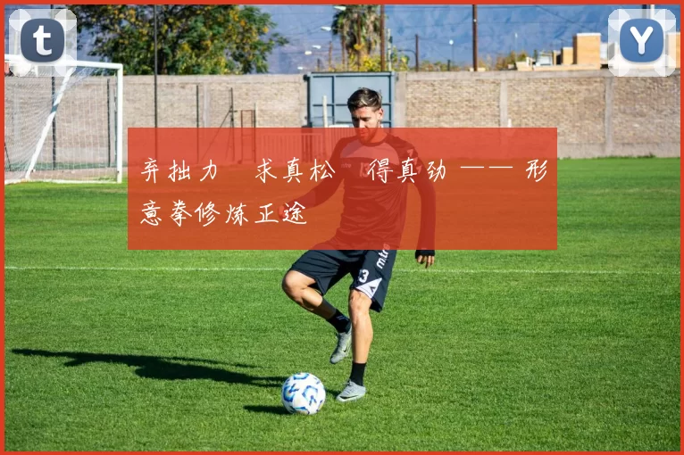 弃拙力・求真松・得真劲 —— 形意拳修炼正途