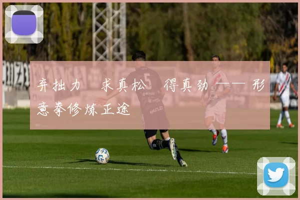 弃拙力・求真松・得真劲 —— 形意拳修炼正途