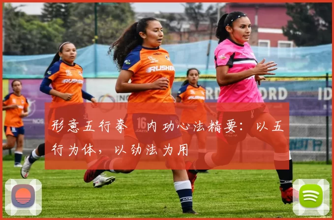 形意五行拳・内功心法精要：以五行为体，以劲法为用