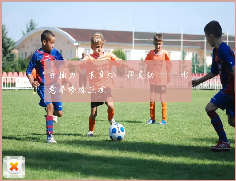 弃拙力・求真松・得真劲 —— 形意拳修炼正途