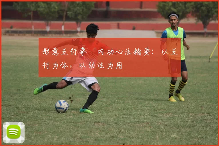 形意五行拳・内功心法精要：以五行为体，以劲法为用