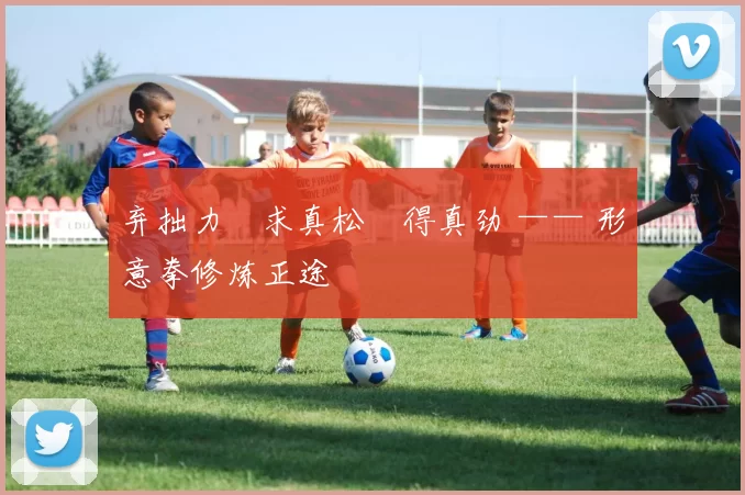 弃拙力・求真松・得真劲 —— 形意拳修炼正途