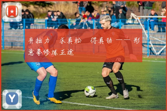 弃拙力・求真松・得真劲 —— 形意拳修炼正途