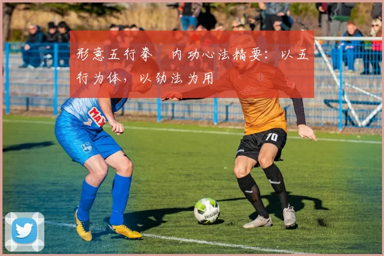 形意五行拳・内功心法精要：以五行为体，以劲法为用