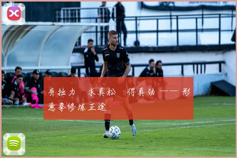 弃拙力・求真松・得真劲 —— 形意拳修炼正途