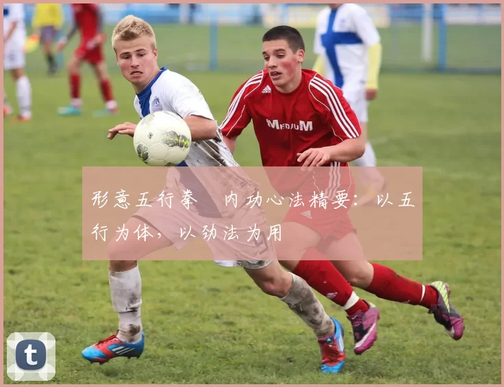 形意五行拳・内功心法精要：以五行为体，以劲法为用