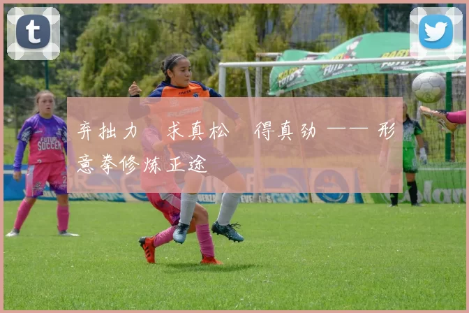 弃拙力・求真松・得真劲 —— 形意拳修炼正途