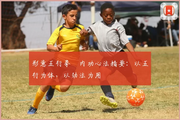 形意五行拳・内功心法精要:以五行为体,以劲法为用