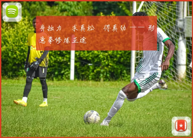 弃拙力・求真松・得真劲 —— 形意拳修炼正途