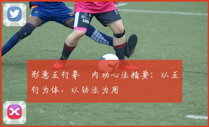 形意五行拳・内功心法精要：以五行为体，以劲法为用