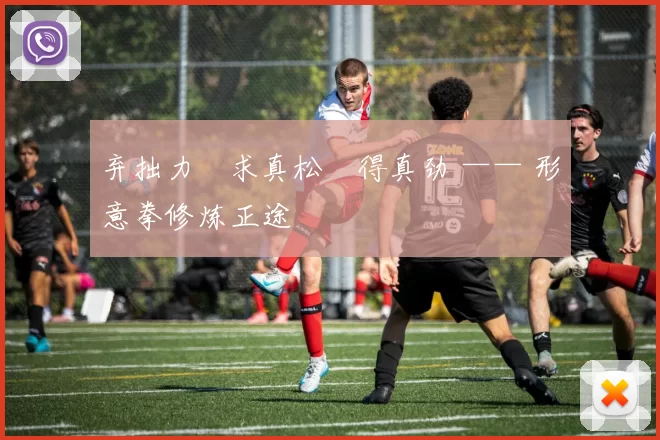 弃拙力・求真松・得真劲 —— 形意拳修炼正途