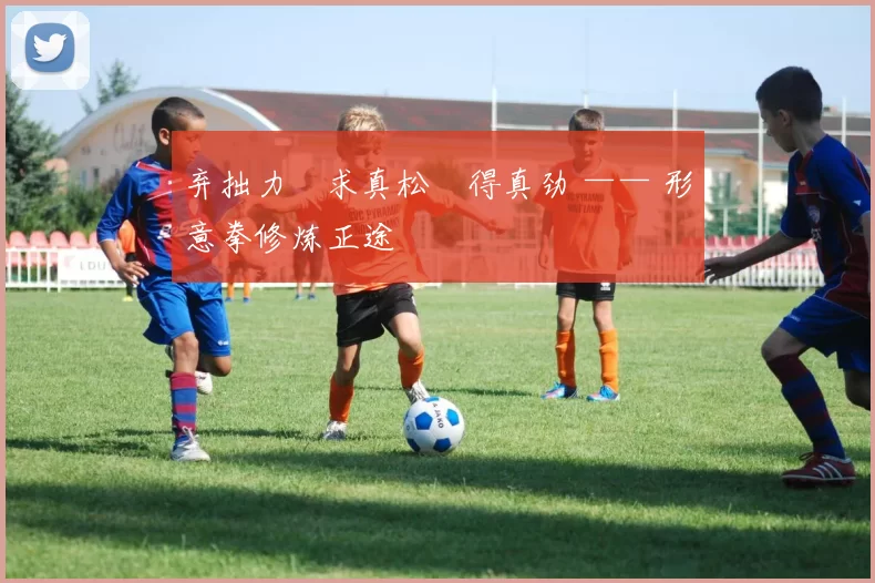 弃拙力・求真松・得真劲 —— 形意拳修炼正途