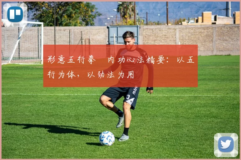 形意五行拳・内功心法精要:以五行为体,以劲法为用