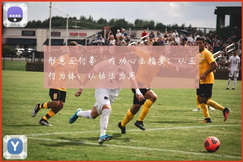 形意五行拳・内功心法精要:以五行为体,以劲法为用