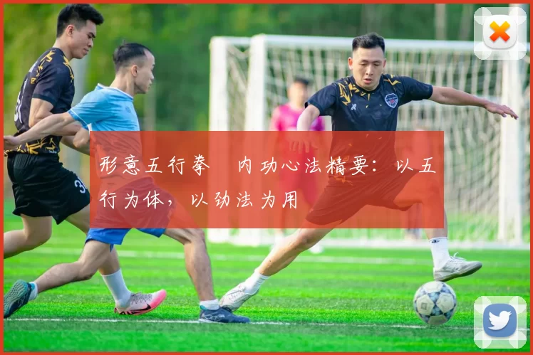 形意五行拳・内功心法精要：以五行为体，以劲法为用