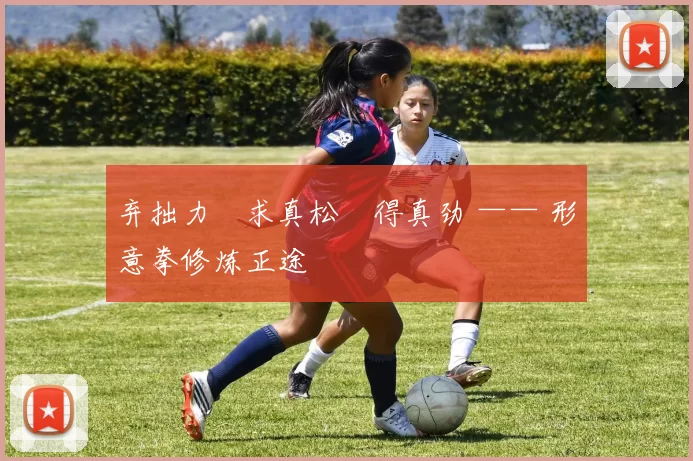 弃拙力・求真松・得真劲 —— 形意拳修炼正途