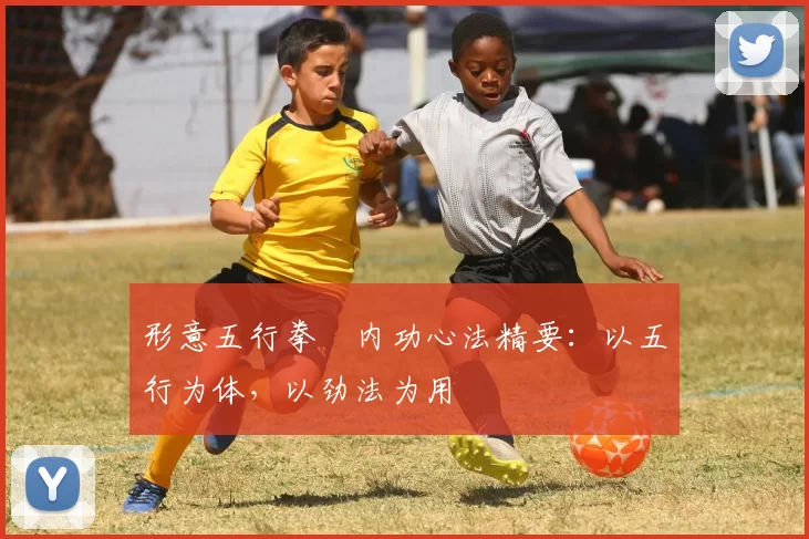 形意五行拳・内功心法精要：以五行为体，以劲法为用
