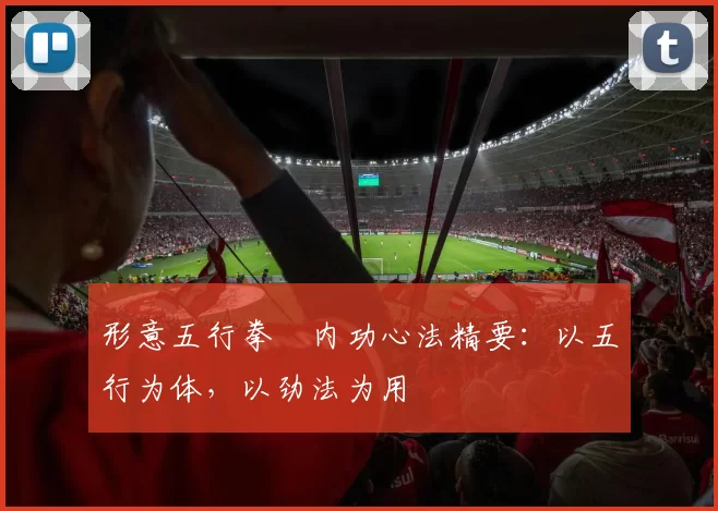 形意五行拳・内功心法精要:以五行为体,以劲法为用