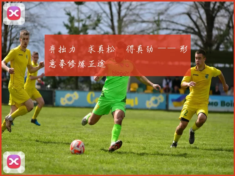 弃拙力・求真松・得真劲 —— 形意拳修炼正途