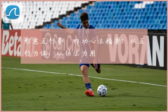 形意五行拳・内功心法精要:以五行为体,以劲法为用