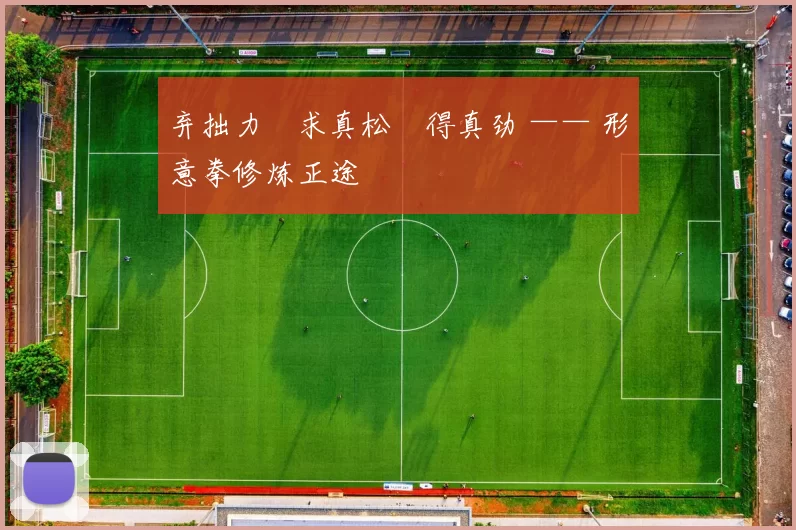 弃拙力・求真松・得真劲 —— 形意拳修炼正途