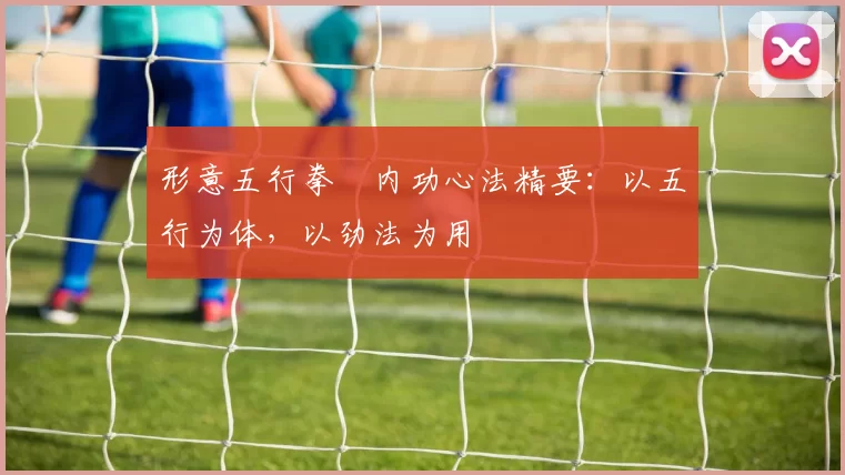 形意五行拳・内功心法精要:以五行为体,以劲法为用