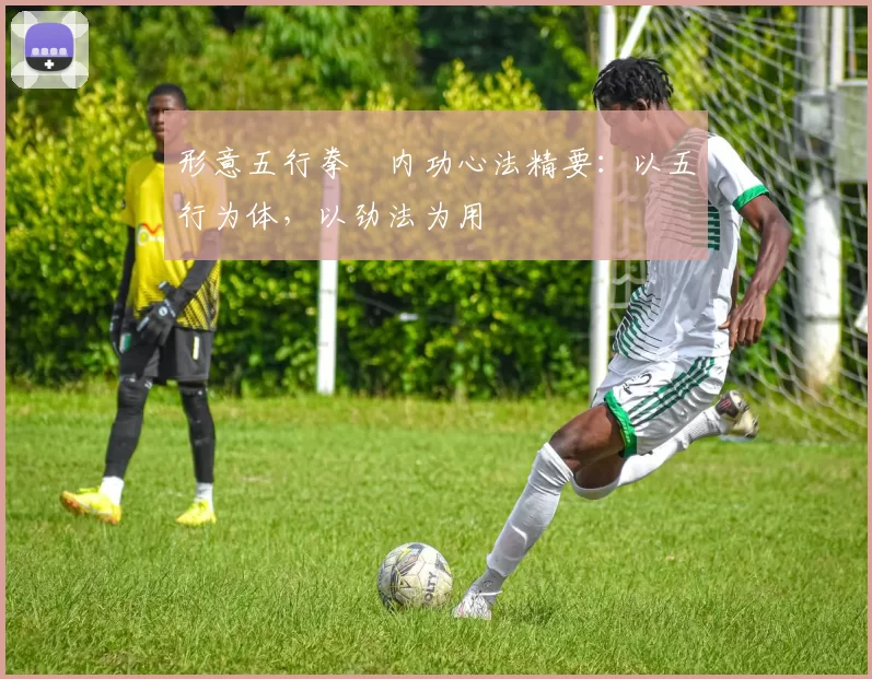 形意五行拳・内功心法精要：以五行为体，以劲法为用