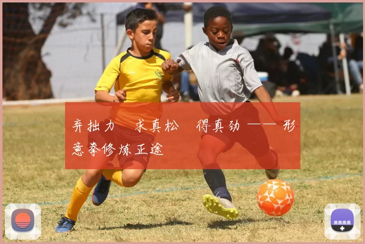 弃拙力・求真松・得真劲 —— 形意拳修炼正途