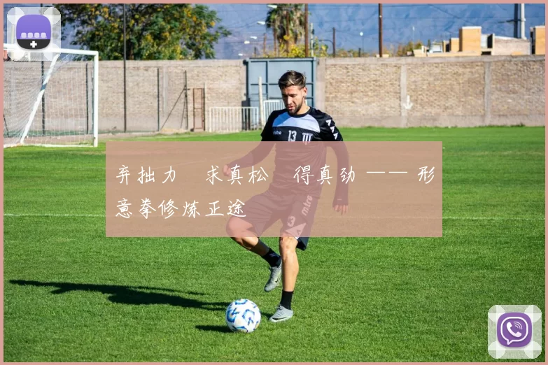 弃拙力・求真松・得真劲 —— 形意拳修炼正途