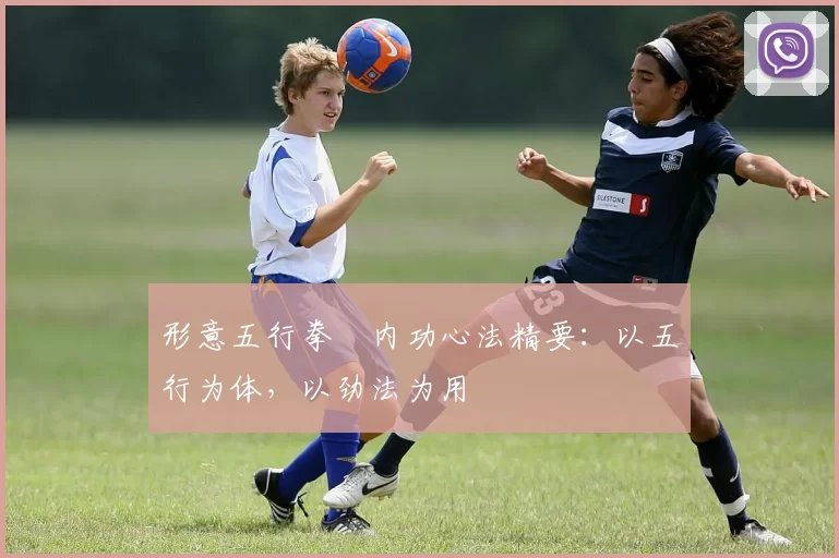 形意五行拳・内功心法精要：以五行为体，以劲法为用