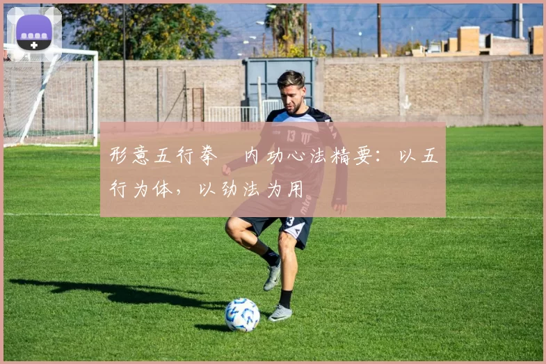 形意五行拳・内功心法精要：以五行为体，以劲法为用