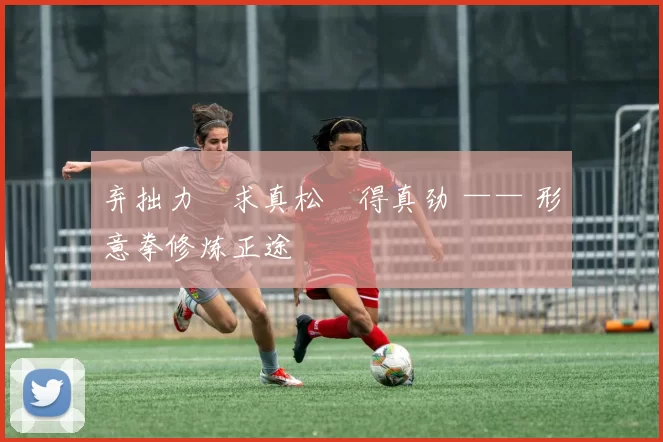 弃拙力・求真松・得真劲 —— 形意拳修炼正途