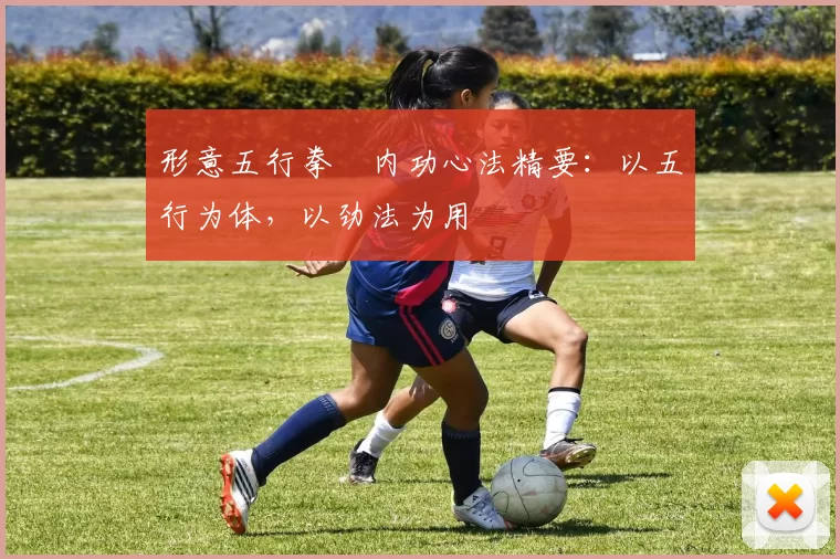 形意五行拳・内功心法精要：以五行为体，以劲法为用