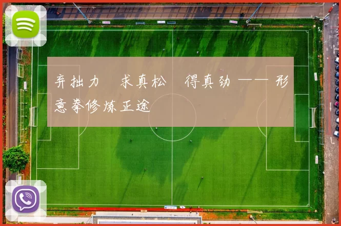 弃拙力・求真松・得真劲 —— 形意拳修炼正途