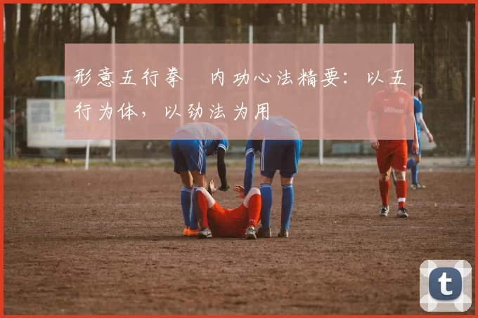 形意五行拳・内功心法精要：以五行为体，以劲法为用