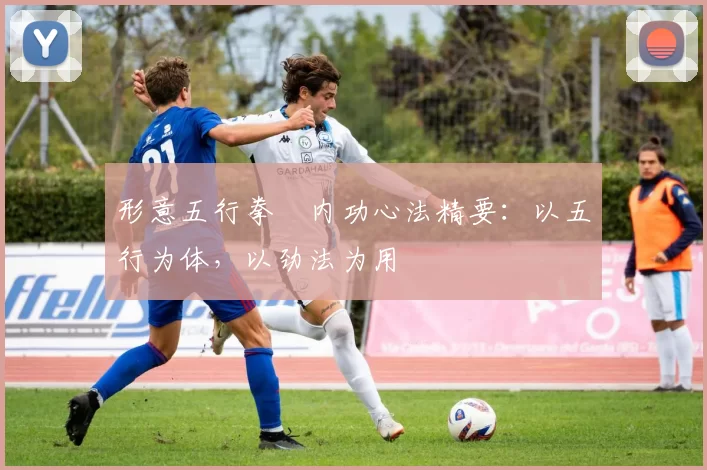 形意五行拳・内功心法精要:以五行为体,以劲法为用