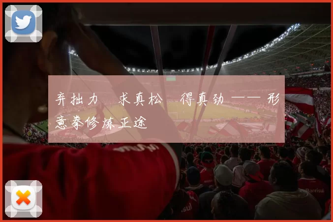 弃拙力・求真松・得真劲 —— 形意拳修炼正途