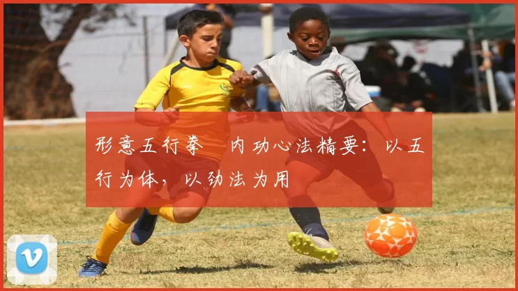 形意五行拳・内功心法精要:以五行为体,以劲法为用