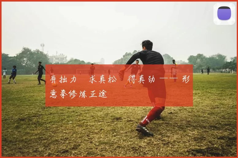 弃拙力・求真松・得真劲 —— 形意拳修炼正途