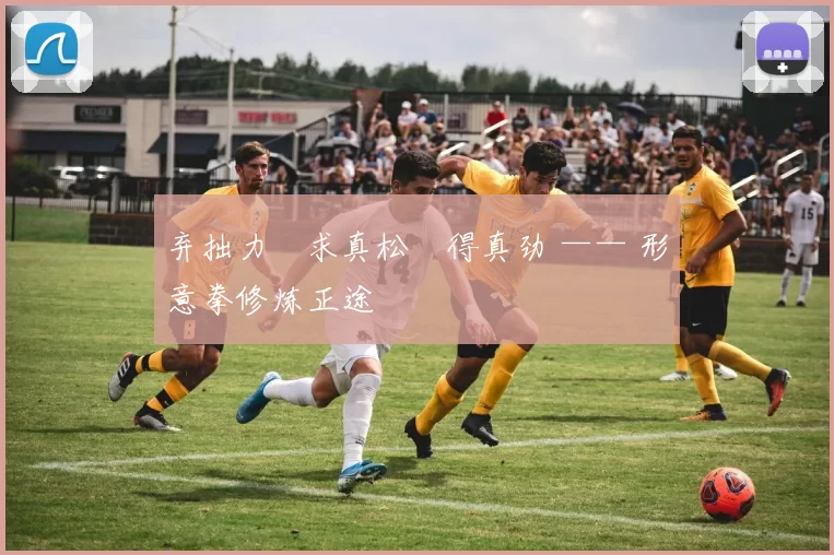 弃拙力・求真松・得真劲 —— 形意拳修炼正途