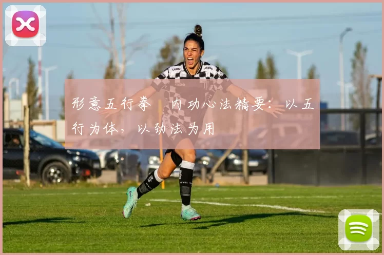 形意五行拳・内功心法精要:以五行为体,以劲法为用