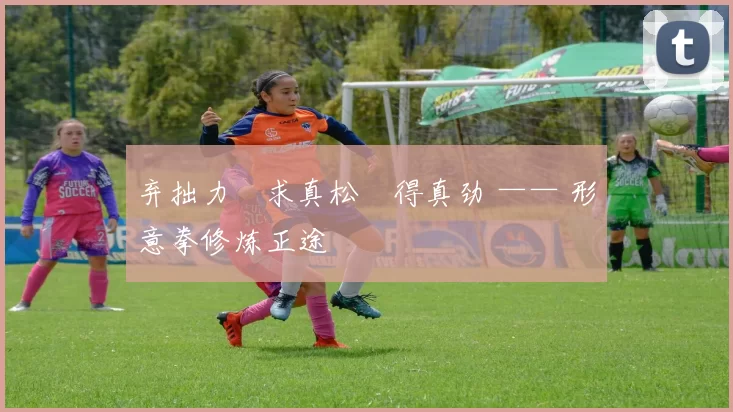 弃拙力・求真松・得真劲 —— 形意拳修炼正途