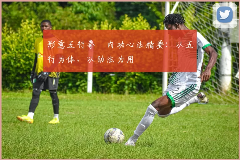 形意五行拳・内功心法精要：以五行为体，以劲法为用