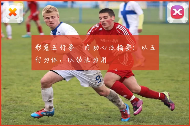 形意五行拳・内功心法精要：以五行为体，以劲法为用