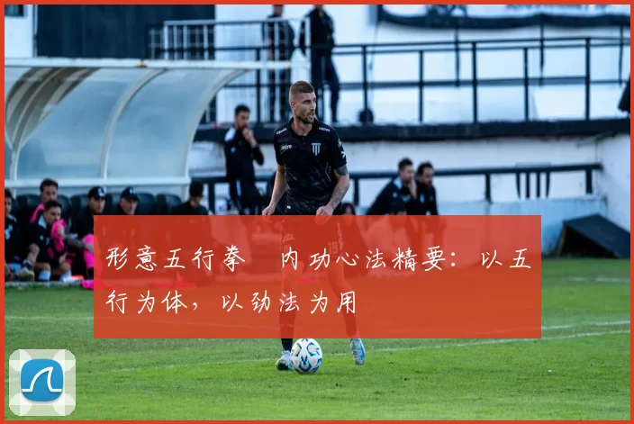 形意五行拳・内功心法精要：以五行为体，以劲法为用