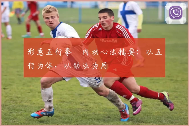 形意五行拳・内功心法精要：以五行为体，以劲法为用