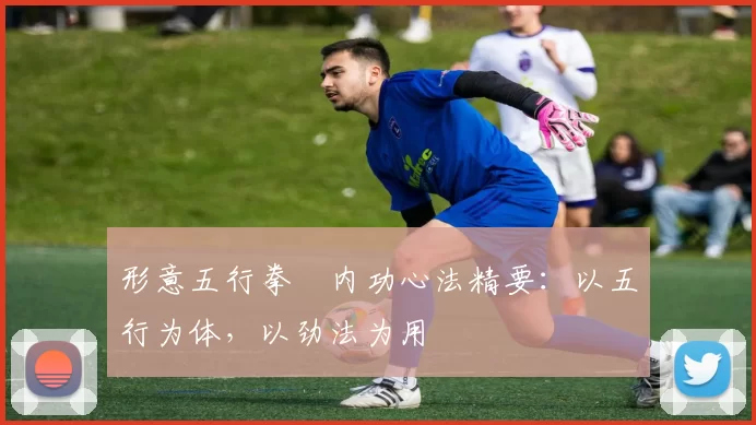 形意五行拳・内功心法精要:以五行为体,以劲法为用